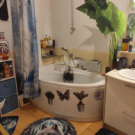 Chez L' Habitant 民宿 梅兹